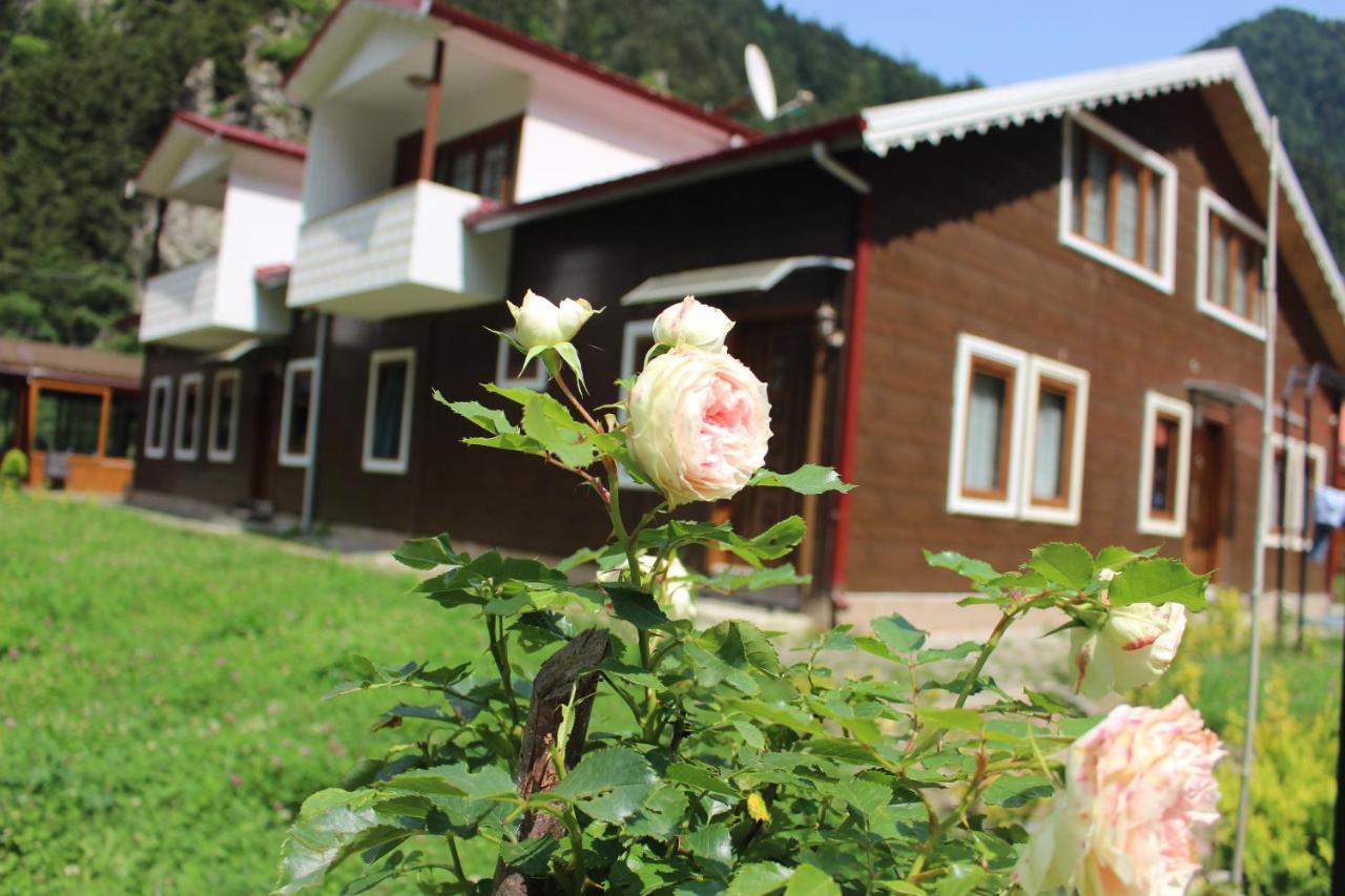 Uzungol Selale Otel Bungalow エクステリア 写真