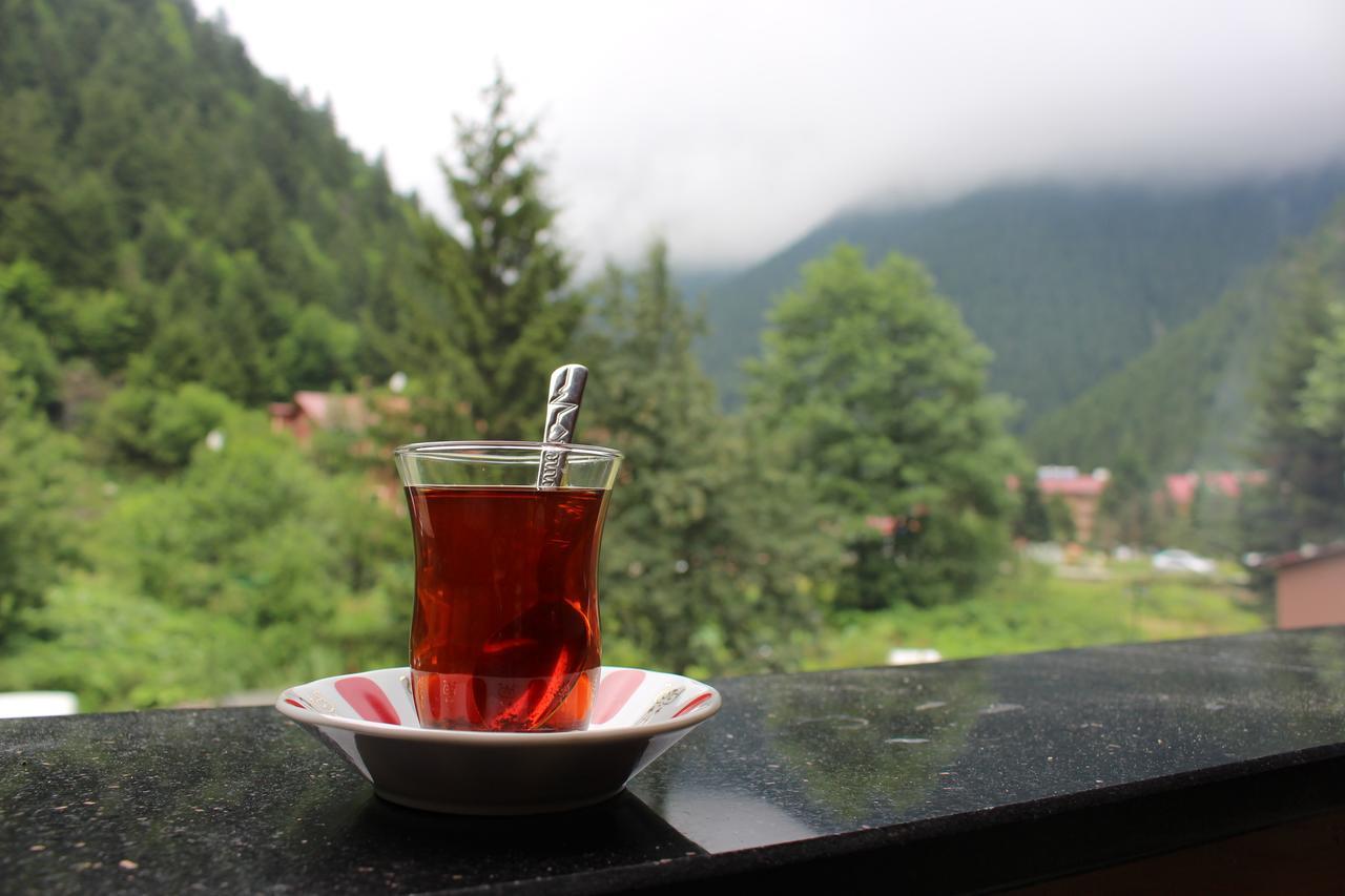 Uzungol Selale Otel Bungalow エクステリア 写真