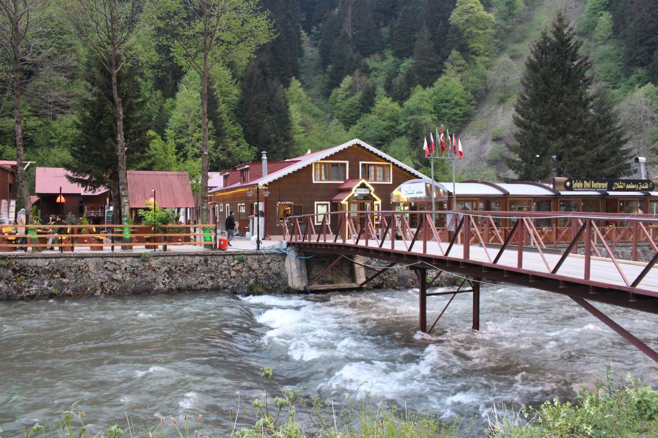 Uzungol Selale Otel Bungalow エクステリア 写真