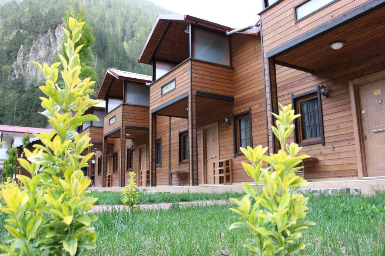 Uzungol Selale Otel Bungalow エクステリア 写真