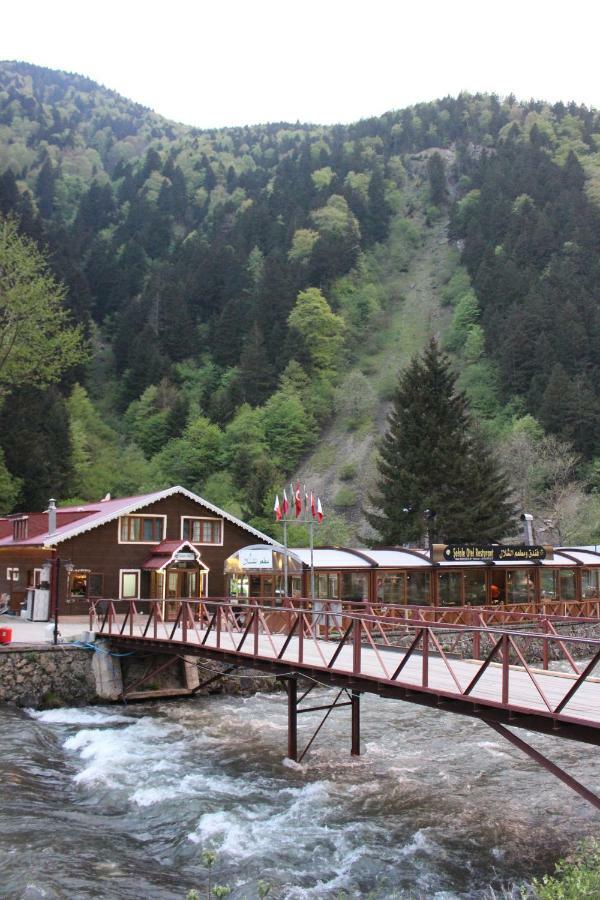 Uzungol Selale Otel Bungalow エクステリア 写真