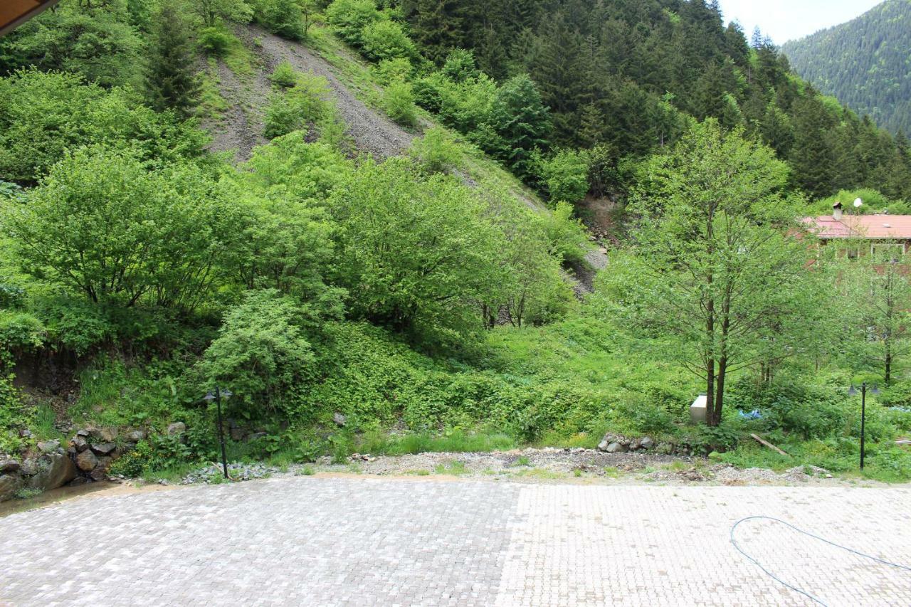 Uzungol Selale Otel Bungalow エクステリア 写真