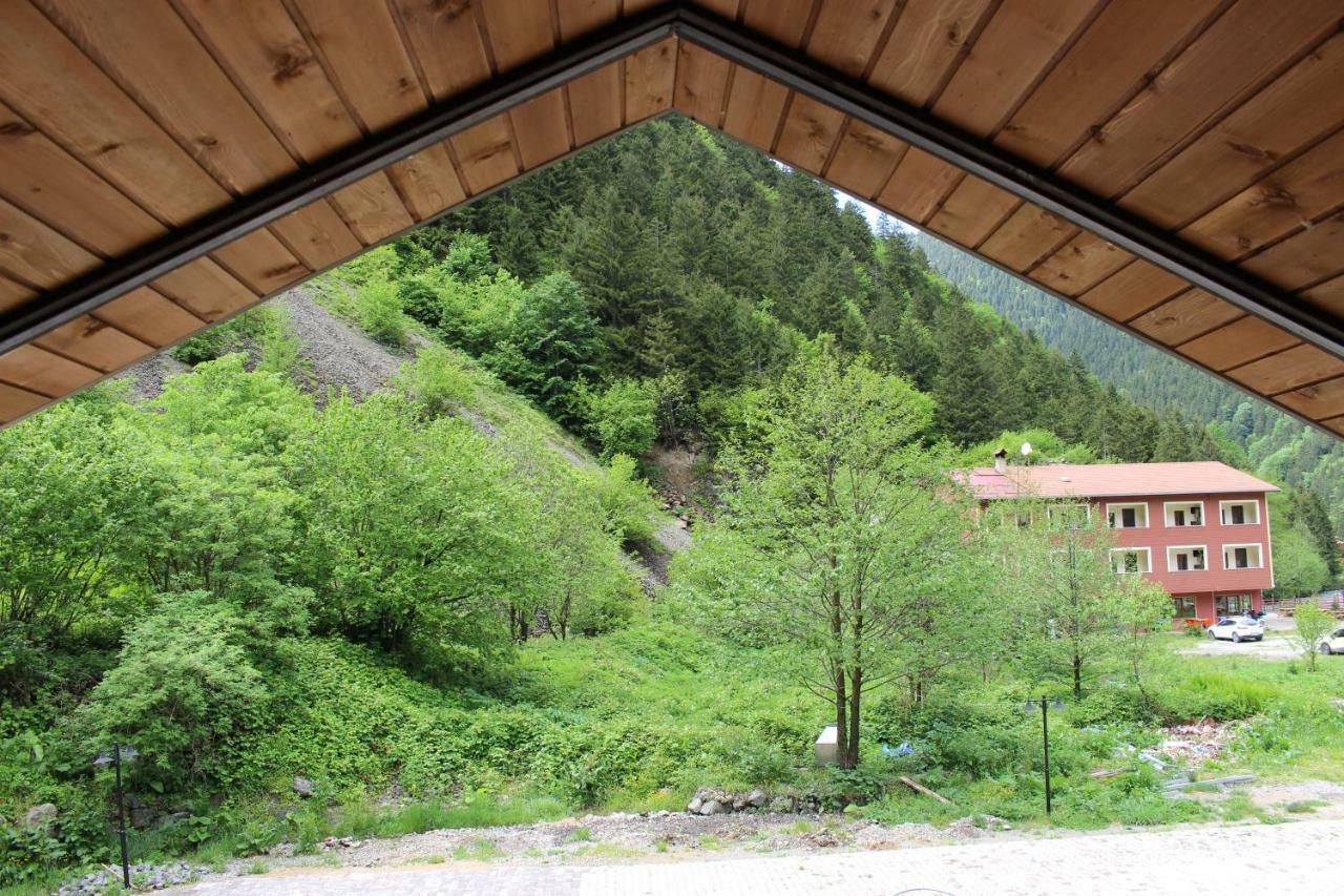 Uzungol Selale Otel Bungalow エクステリア 写真